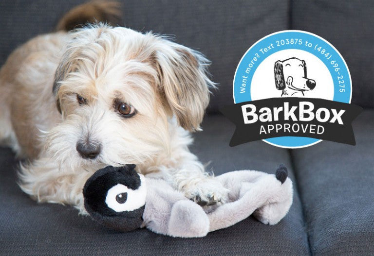 Hatchables Penguin BarkBox