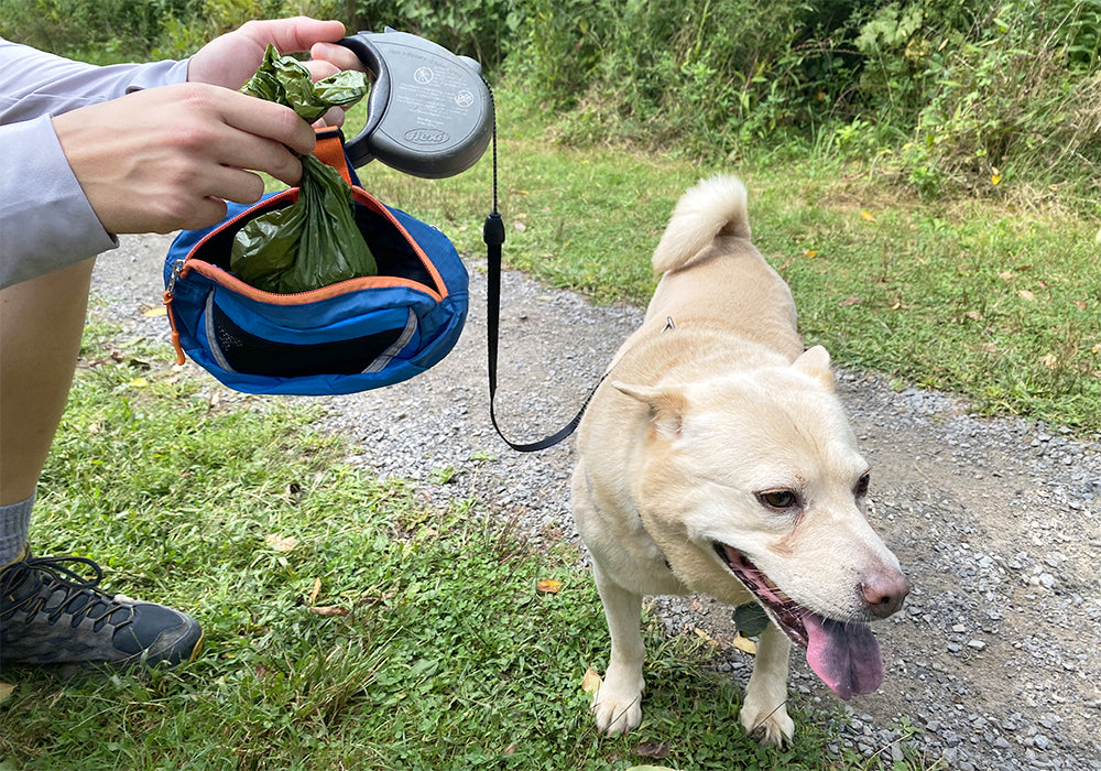 Pet Dog Poop Bag Holder Leash Attachment Poop Bag Dispenser Fits Any Dog  Leash