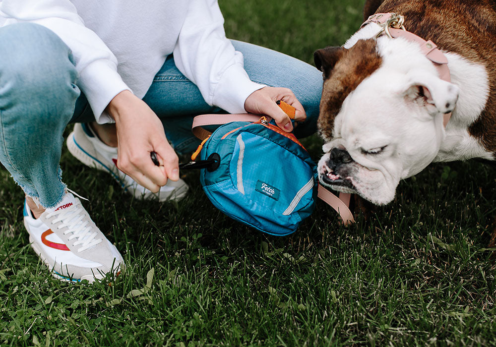 Dooloop Dog Waste Bag Holder – LoveThyBeast